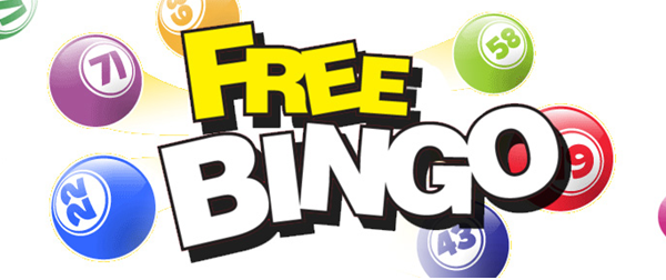 play bingo for free